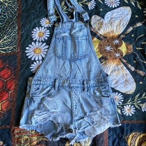 American Eagle Overall Shorts
